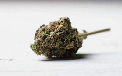 Microdosis de marihuana: un nuevo hábito que puede llevar a la adicción